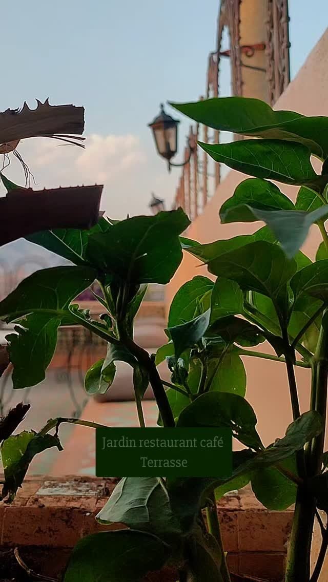Instagram post from jardinrestaurantcafe. This post is in position 2.